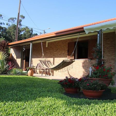 Penzion Casa Flor Da Laranjeira Ponte de Lima Exteriér fotografie